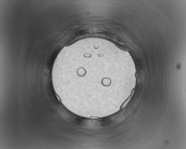 X0000116640327201001251141