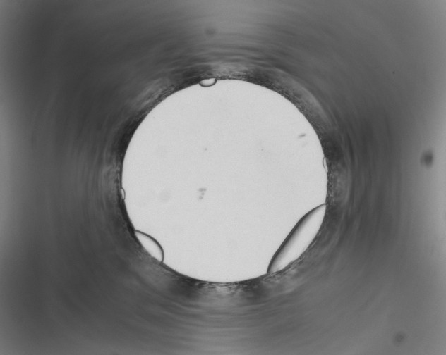 X0000116640329201001251141