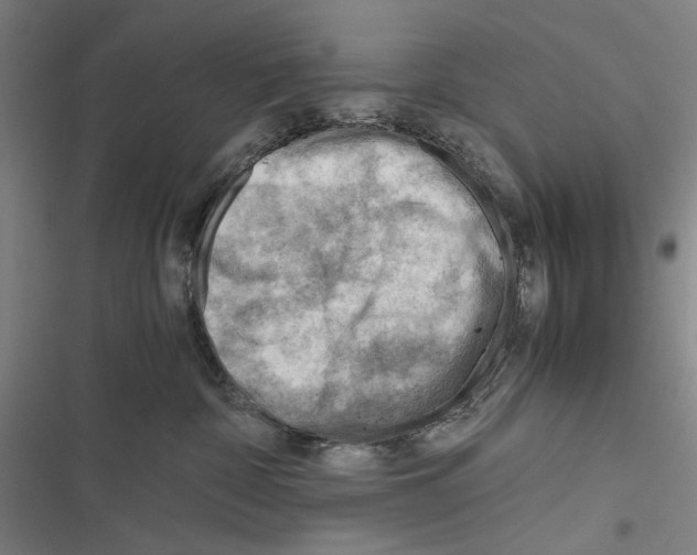 X0000116640332201001251141