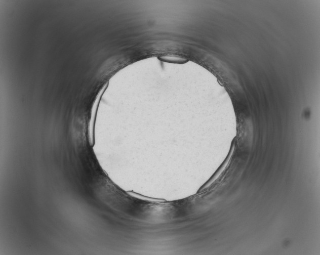 X0000116640333201001251141