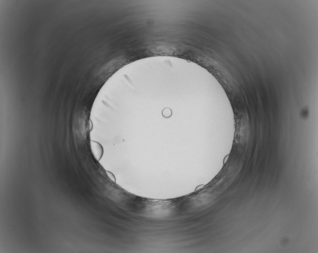 X0000116640334201001251141