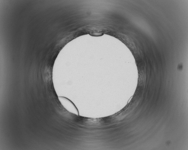 X0000116640335201001251141