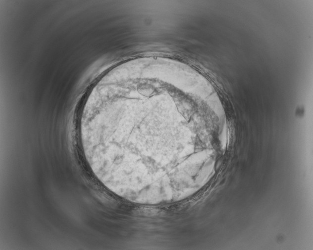 X0000116640339201001251140