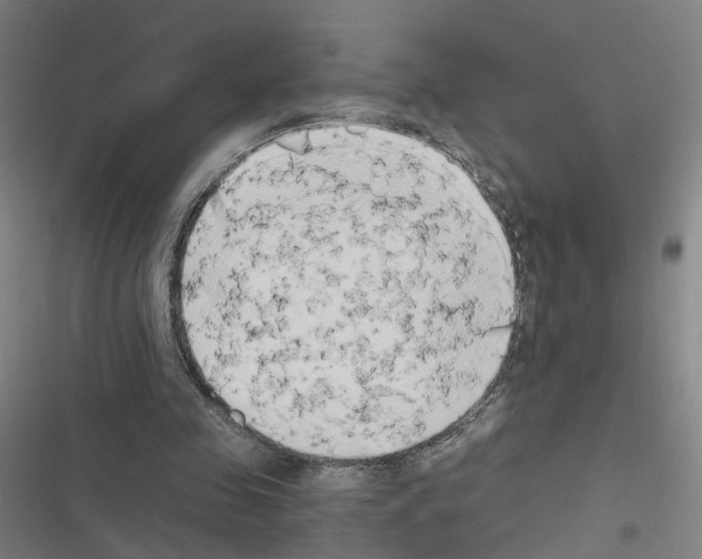 X0000116640341201001251140