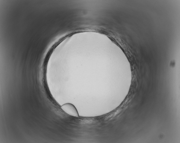 X0000116640342201001251140