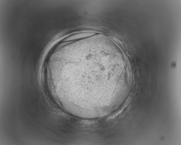 X0000116640343201001251140