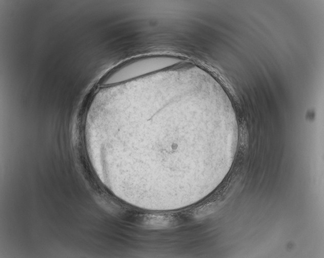 X0000116640347201001251140