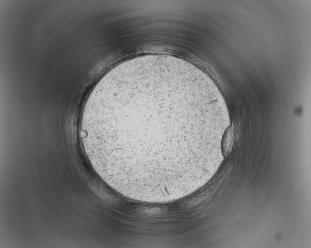 X0000116640349201001251140