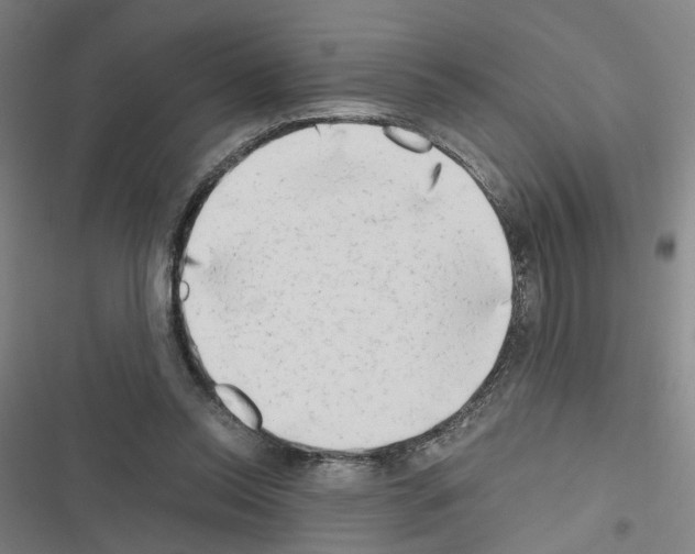 X0000116640350201001251140