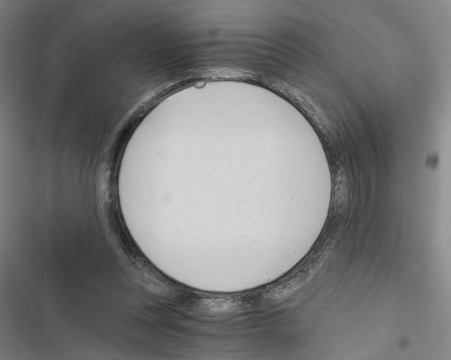 X0000116640351201001251140