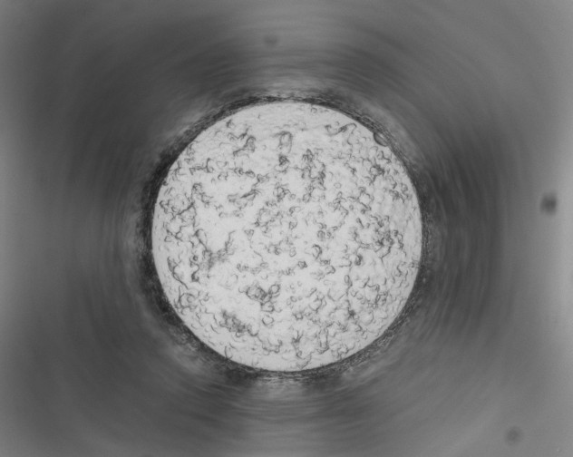 X0000116640354201001251141