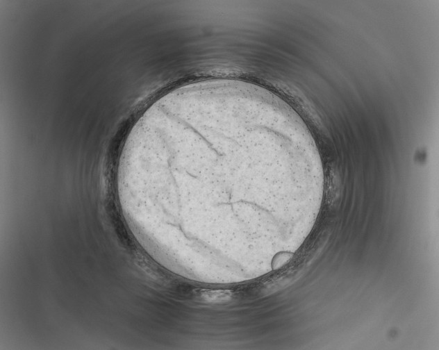 X0000116640355201001251141