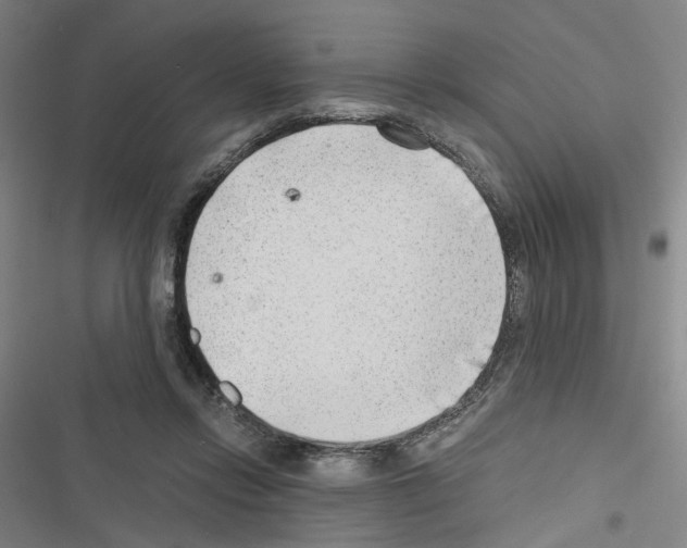 X0000116640358201001251141