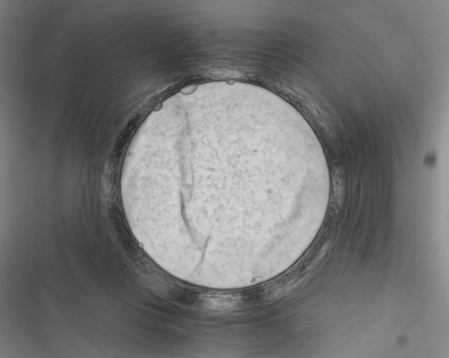 X0000116640359201001251141