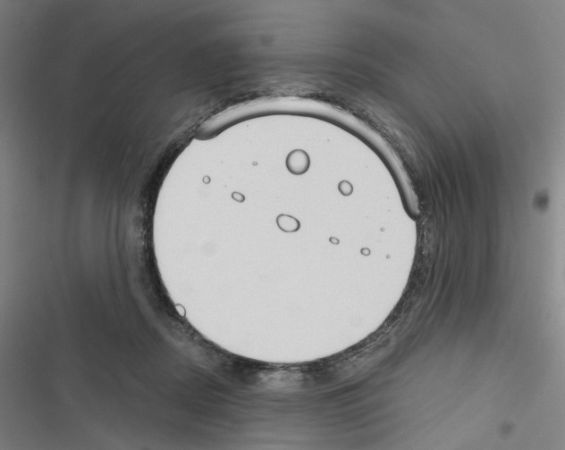 X0000116640362201001251141