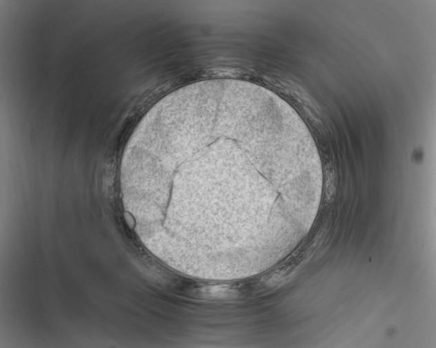 X0000116640365201001251141