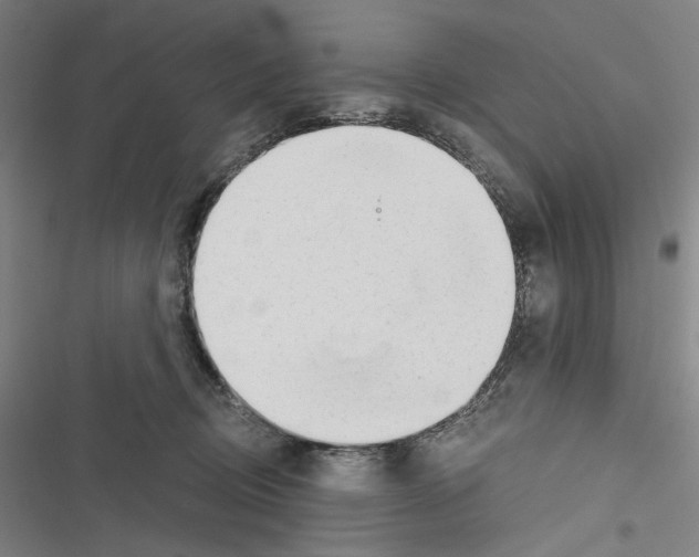 X0000116640370201001251141