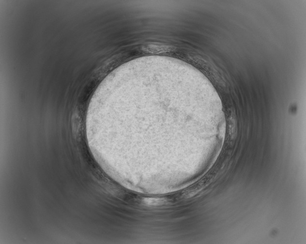 X0000116640371201001251141