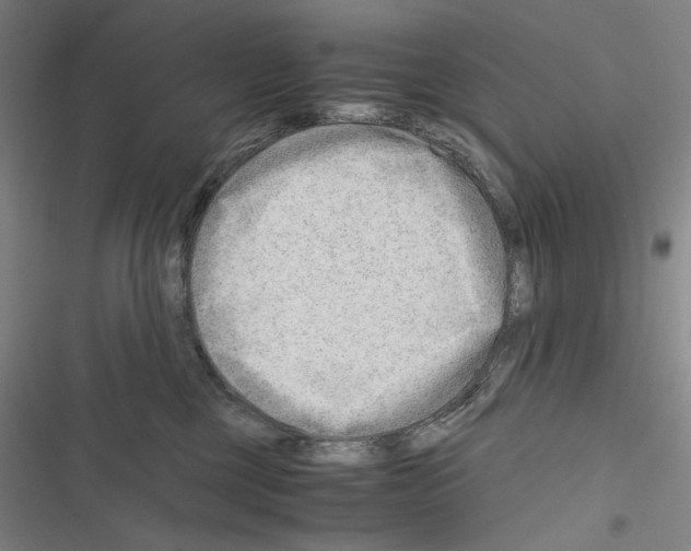 X0000116640377201001251141