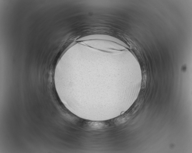 X0000116640379201001251141