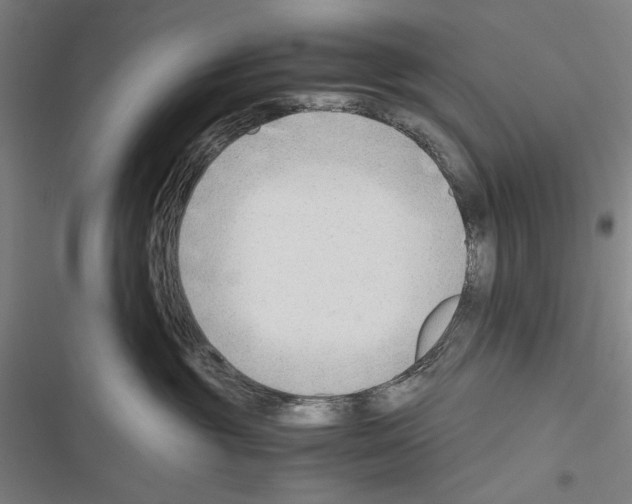 X0000116640381201001251141