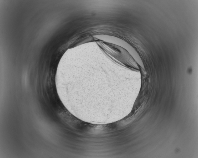 X0000116640382201001251141