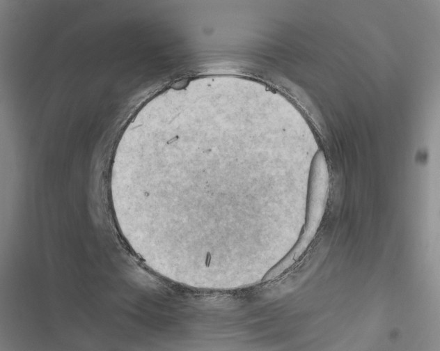 X0000116640385201001251140