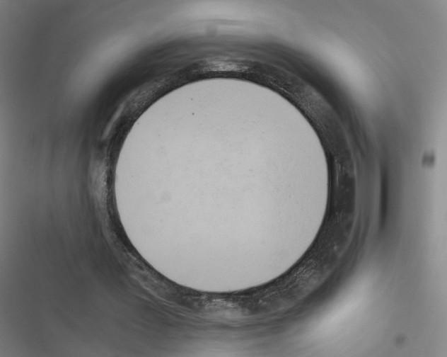 X0000116640387201001251140