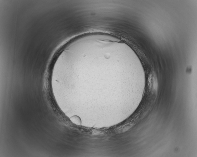 X0000116640388201001251140