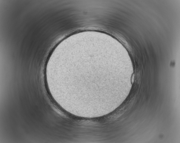 X0000116640389201001251140