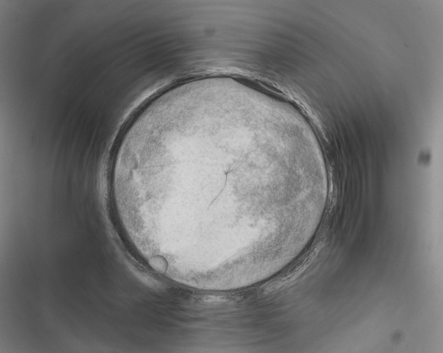 X0000116640390201001251140