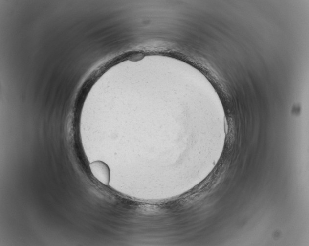 X0000116640392201001251140