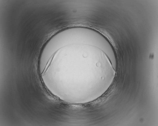 X0000116640393201001251140