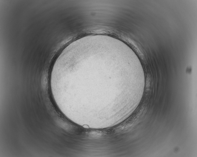 X0000116640394201001251140