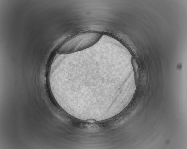 X0000116640395201001251140