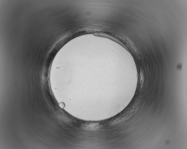 X0000116640396201001251140