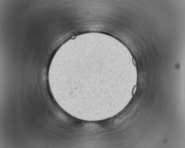 X0000116640397201001251140