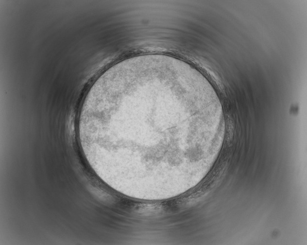 X0000116640398201001251140