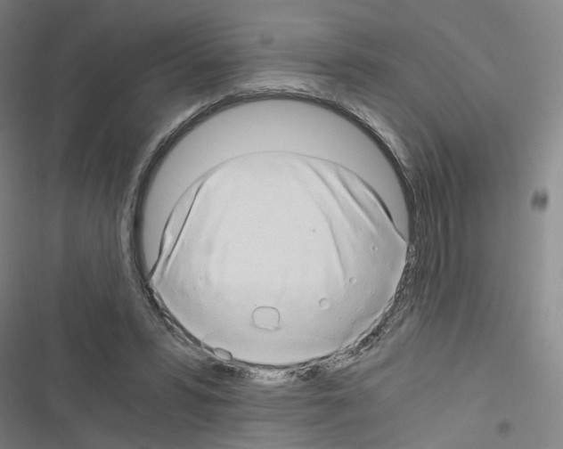 X0000116640399201001251140