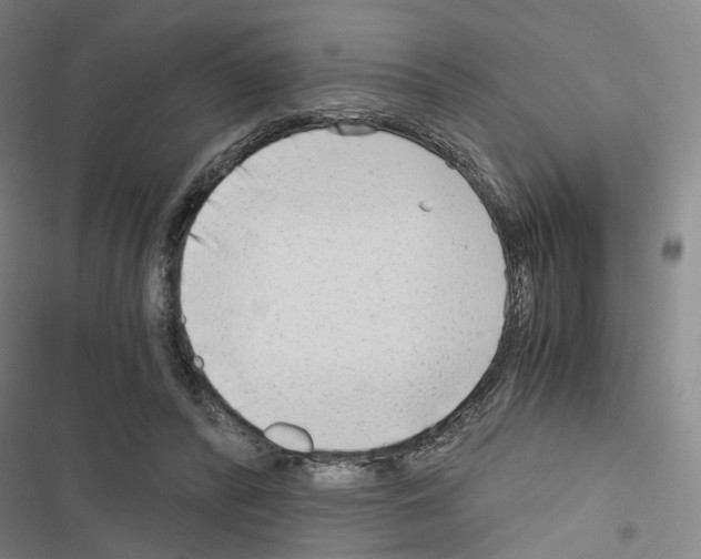 X0000116640400201001251140