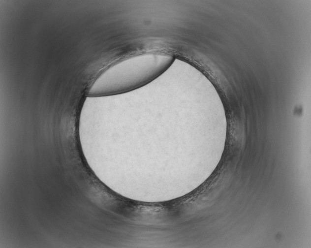 X0000116640401201001251140