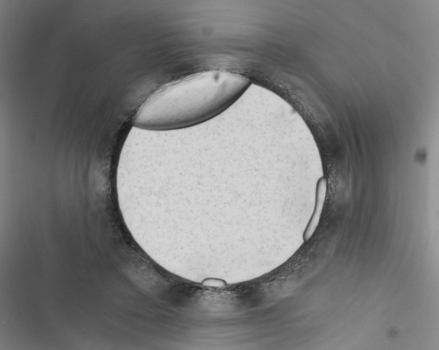 X0000116640403201001251140