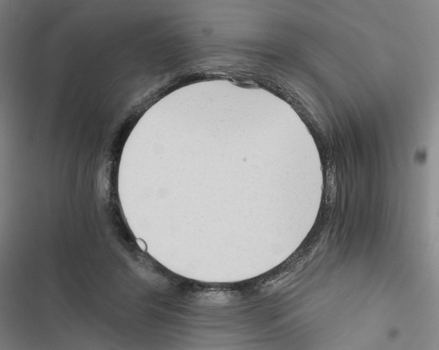 X0000116640404201001251140