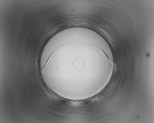 X0000116640405201001251140