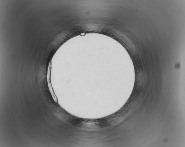 X0000116640407201001251140