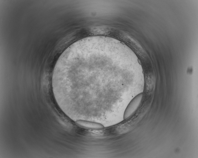 X0000116640409201001251140