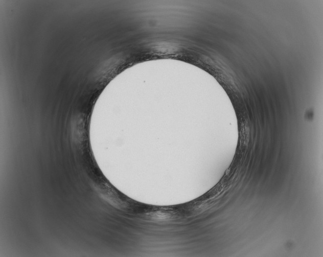 X0000116640412201001251140