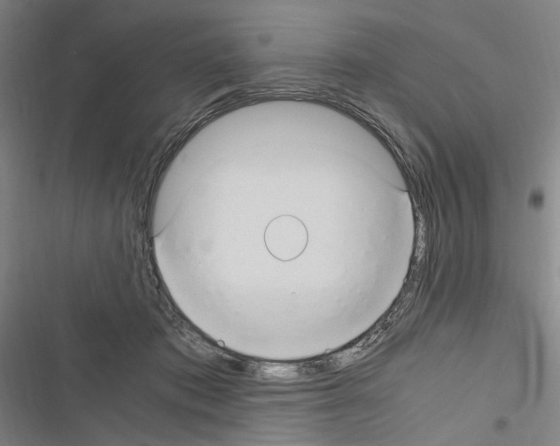 X0000116640413201001251140