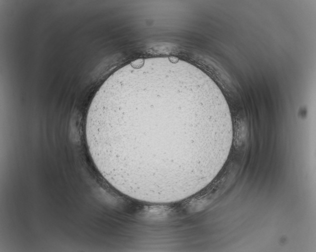 X0000116640414201001251140