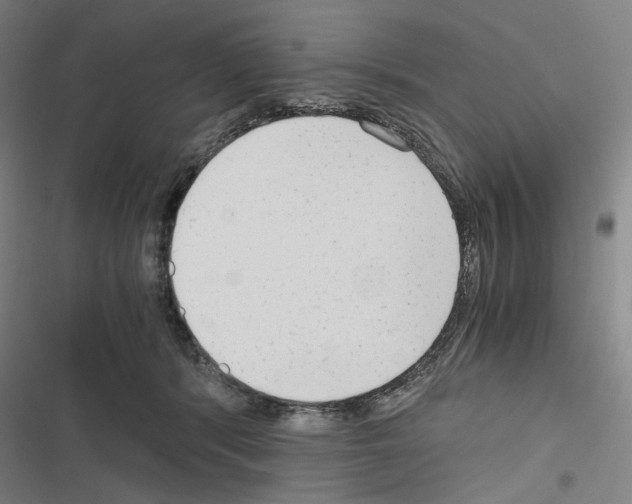 X0000116640416201001251140